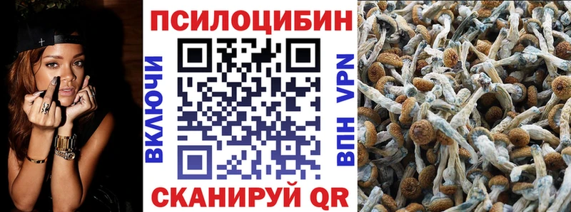 наркотики  Борзя  Псилоцибиновые грибы прущие грибы 