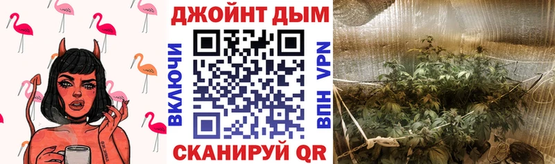 Каннабис индика  купить наркотики цена  Борзя 